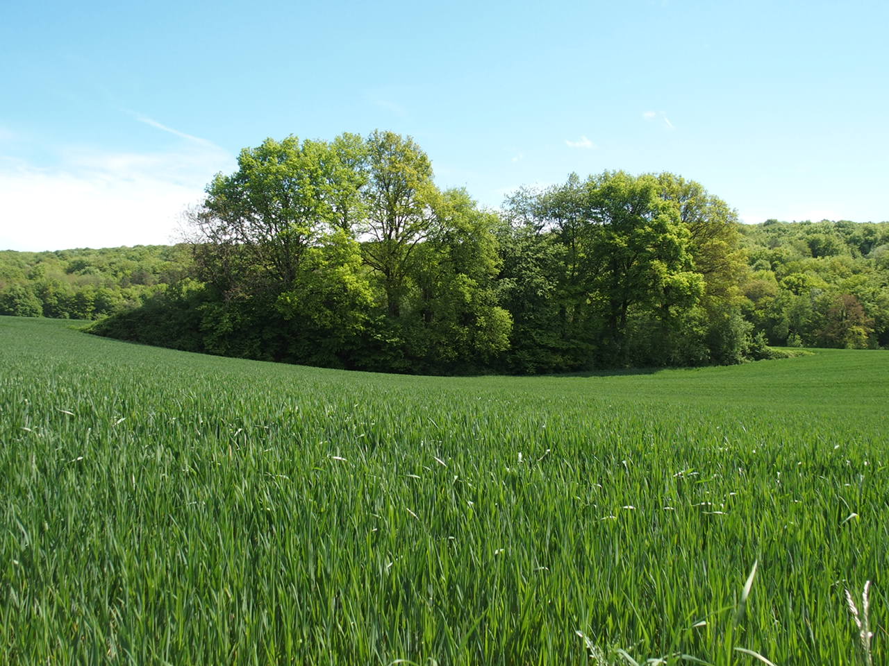 Aucune photo pour cette étape.